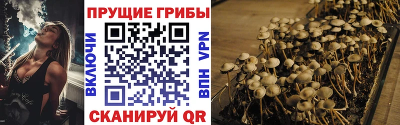 кракен как зайти  Терек  Галлюциногенные грибы ЛСД 